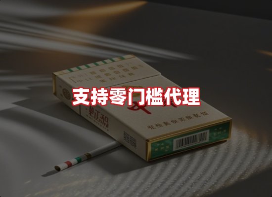 专业团队